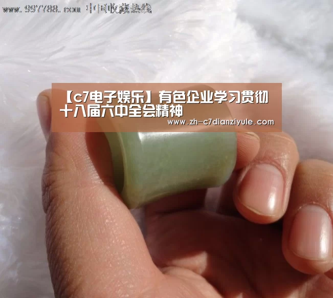 【c7电子娱乐】有色企业学习贯彻十八届六中全会精神(图2) c7电子娱乐