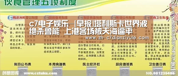 c7电子娱乐