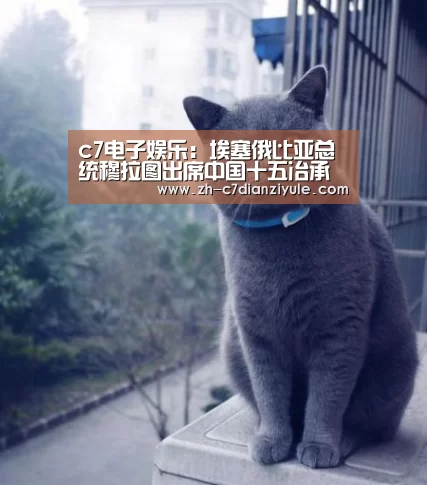c7电子娱乐:埃塞俄比亚总统穆拉图出席中国十五冶承建的非洲首座垃圾发电厂投产运营仪式(图2) c7电子娱乐