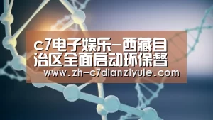 c7电子娱乐