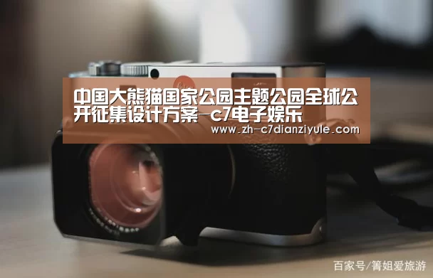c7电子娱乐